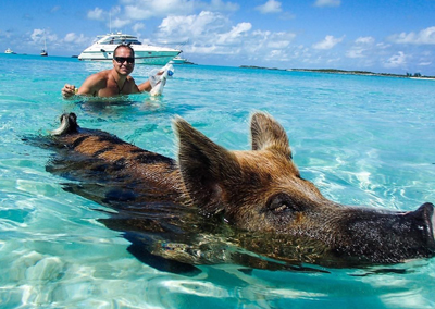 Exumas Pig Beach yachts Bahamas